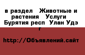  в раздел : Животные и растения » Услуги . Бурятия респ.,Улан-Удэ г.